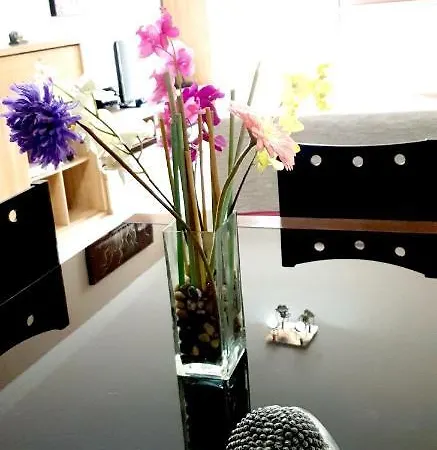 Apartment Rambla De Los Menceyes Candelaria
